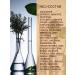 LIFEBUOY Balm cream regenerative "Mumiyo+sea buckthorn" - Buy Online on GoSupps.com