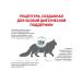 ROYAL CANIN Anallergenic 2 kg - Buy Online on GoSupps.com