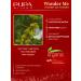 PUPA Barrier compact face powder Wonder Me tone 030 - Buy Online on GoSupps.com