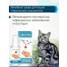 Littoral Vitamins for cats for immunity - Buy Online on GoSupps.com