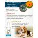 Littoral Antiseptic for dogs wound healing - Buy Online on GoSupps.com