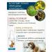Littoral Vitamins for dogs from wool loss - Buy Online on GoSupps.com