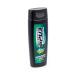 TimBriz Male hair shampoo with aloe 250ml extract 10 pcs - Buy Online on GoSupps.com