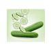 WONDERCOSM Cucumber skewer - Buy Online on GoSupps.com