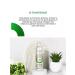 Ollin Professional Hair shampoo Restoring OLLIN CARE 250 ml - Buy Online on GoSupps.com