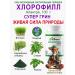 Chlorophyll powder (super green) alantra 100 g