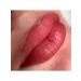 Face Company Pigments for permanent makeup and tattooing Bellucci lips - Buy Online on GoSupps.com