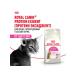 ROYAL CANIN Protein Exigent food for fastidious cats 2 kg - Buy Online on GoSupps.com