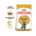 ROYAL CANIN British shorthair adult dry cat food 2 kg - Buy Online on GoSupps.com