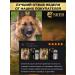 SKER Salmon oil for cats and dogs - Buy Online on GoSupps.com