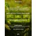 Grocer's Tea drink soluble tea mix forest berries - Buy Online on GoSupps.com