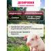 BashInkom Vetosporin additive for CRC MRS pigs of poultry poultry 1 kg - Buy Online on GoSupps.com