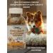 HYBRID NUTRACEUTICALS Chondroprotector for dogs and cats 120 bones