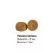 Hanta Dry food for Hunt 3 kg puppies - Buy Online on GoSupps.com