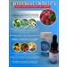 Springs of Siberia Oil from nail fungus healing stop onycholysis - Buy Online on GoSupps.com
