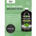 Nature's Way Chlorofresh 473.2 ml - liquid chlorophyll
