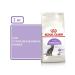 ROYAL CANIN Dry food for sterilized cats Sterilized 37 2 kg