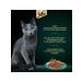 Sheba Cat food for a wet duck in sauce 75 g 28 pcs - Buy Online on GoSupps.com