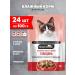 Night Hunter Cat food for a wet beef in jelly 100 g 24 pcs