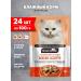 Night Hunter Cat food for moist meat assortment in sauce 100 g 24 pcs