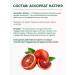 PROORGANIC Vitamin C ascorbate sodium powder - Buy Online on GoSupps.com