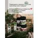 Your Taiga Coniferous food extracts fir cedar fir+cedar - Buy Online on GoSupps.com