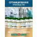 OXFORD PHARM Laminaria Japanese iodine Alginates Fucoidan - Buy Online on GoSupps.com