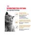 ROYAL CANIN British shorthair food for British cats 85 g x 28 pcs - Buy Online on GoSupps.com