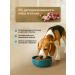SECRET FOR PETS Dry food for dogs Secret Premium lamb and rice 2 kg - Buy Online on GoSupps.com