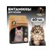 Dude Delicacy vitamins multivitamin for cats 60 tab