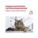 ROYAL CANIN Cat food for dry urinaries s o 350 g - Buy Online on GoSupps.com