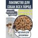 Titbit Medium dog dogs with Medium breeds drying 1 kg - Buy Online on GoSupps.com