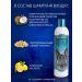 BioGroom Shampoo for the volume of Extra Body concentrate 1 4 - Buy Online on GoSupps.com