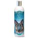 BioGroom Shampoo for the volume of Extra Body concentrate 1 4 - Buy Online on GoSupps.com