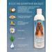 BioGroom Dog shampoo from the smell "White Ginger" concentrate 1 8 - Buy Online on GoSupps.com