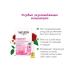 WELEDA Pink smoothing concentrate 7x0.8 ml - Buy Online on GoSupps.com