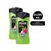Axe Shower gel Epic freshness 250 ml (2 pcs)