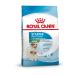 ROYAL CANIN Dry food for dogs Mini Starter 3 kg - Buy Online on GoSupps.com