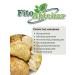 PHYTOAPTHECARIAN Cluscular hedgehog solid mushroom 500g - Buy Online on GoSupps.com