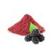 Enjoy Blackberry powder 250 g natural - Buy Online on GoSupps.com
