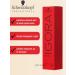Schwarzkopf Professional Hair dye igora Royal 8-11 60 ml - Buy Online on GoSupps.com
