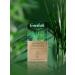 Greenfield Tropical Tarragon Tropical Tarragon Tea 25 bags - Buy Online on GoSupps.com