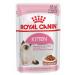 ROYAL CANIN Kitten food for kittens in sauce (85g x 28pcs) - Buy Online on GoSupps.com