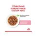 ROYAL CANIN Kitten food for kittens in sauce (85g x 28pcs) - Buy Online on GoSupps.com