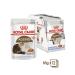 ROYAL CANIN Ageing 12+ Wet food for cats in jelly 85 g x 12 pieces