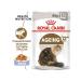 ROYAL CANIN Ageing 12+ Wet food for cats in jelly 85 g x 12 pieces - Buy Online on GoSupps.com