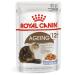 ROYAL CANIN Ageing 12+ Wet food for cats in jelly 85 g x 12 pieces - Buy Online on GoSupps.com
