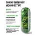 VIDAMIN EXTRA Zinc helat 2 pcs - Buy Online on GoSupps.com