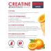 TOP100 Creatine monohydrate powder for muscles and endurance 300 g - Buy Online on GoSupps.com