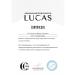 Lucas Cosmetics Eyebrow henna in Sasha (black) 5 g - Buy Online on GoSupps.com
